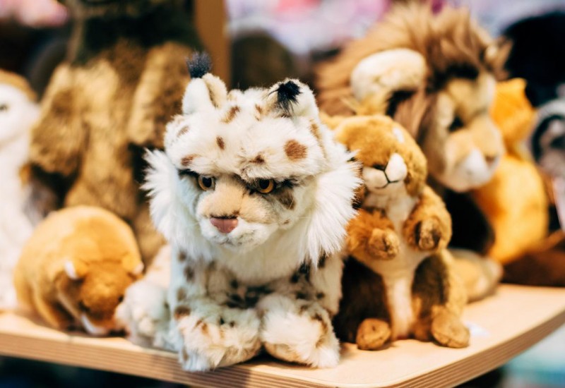 K1024_HB Jensen Technik 2-0088